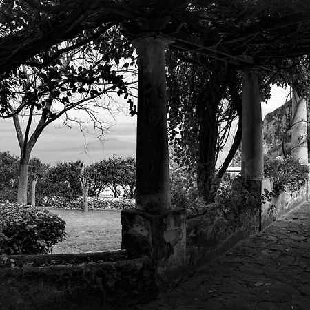 Tiberio's Dream Gasthof *