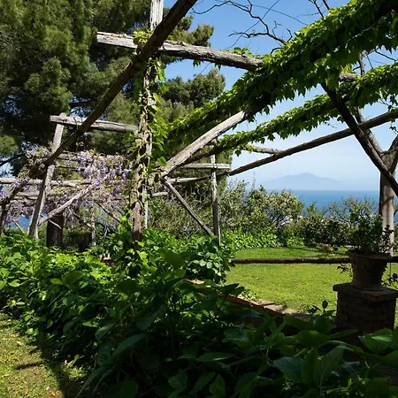 Tiberio's Dream Pensionat Capri